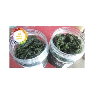 Raisin de mer frais de haute qualité Caulerpa Lentillifera assaisonné en vrac emballé directement au Vietnam fournisseur haute teneur en fibres manger directement - Product Image 6