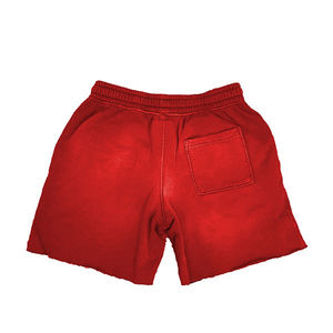 Short de sport personnalisé pour hommes, lavé à l'acide, vêtements de sport vintage de haute qualité, taille basse, imprimé logo, délavé au soleil, décontracté - Product Image 5