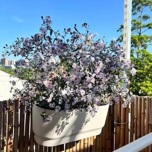 <span class=keywords><strong>Pots</strong></span> suspendus pour balustrade, <span class=keywords><strong>pots</strong></span> à <span class=keywords><strong>fleurs</strong></span> <span class=keywords><strong>en</strong></span> plastique pour balcon |   Pot de plante suspendu d'extérieur <span class=keywords><strong>en</strong></span> petites et grandes tailles - Product Image 5