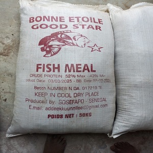 Harina de pescado se suministra en sacos a granel de 25 kg, 50 kg o 1 tonelada. - Product Image 3