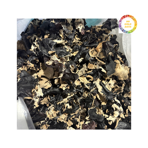 Hongo negro seco al por mayor proveedor de hongos comestibles - Product Image 2