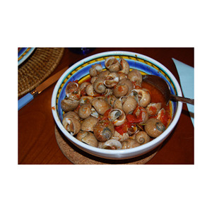 Polvo de harina de Caracol de alta calidad, ideal para alimentación animal y uso en acuicultura - Product Image 1