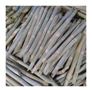 Exportador de caña de azúcar congelada de confianza en Vietnam: embalaje personalizado y suministro confiable para compradores globales - Product Image 1