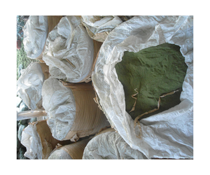 ผงสาหร่ายสีเขียวสารสกัดจากสาหร่ายทะเลผงสาหร่ายสีเขียวสำหรับเวียดนาม - Product Image 4