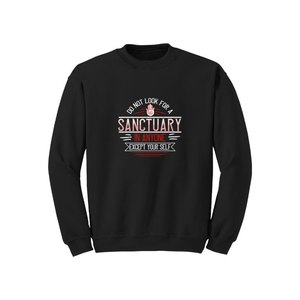 Sweat-shirt en coton mélangé Bouddha Thèmes Imprimer 12 options de couleur Style décontracté 260-280 GSM Placement de conception personnalisable pour l'hiver - Product Image 3