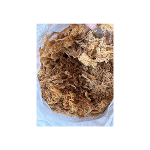 สาหร่าย Eucheuma cottonii ตากแห้งและทำความสะอาดเหมาะสำหรับอุตสาหกรรมอาหารและผลิตภัณฑ์เสริมสุขภาพ - Product Image 3