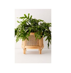 Jardineras de ratán para decoración de jardín con soporte de hierro jardinera de ratán natural con soporte negro de pie de suelo grande a bajo precio - Product Image 1