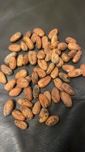 Hạt ca cao để bán từ <span class=keywords><strong>cameroon</strong></span> - Product Image 3