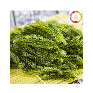 Raisins de mer naturels récoltés de l'océan propre Superfood sain et savoureux disponible sous forme fraîche et sèche - Product Image 1