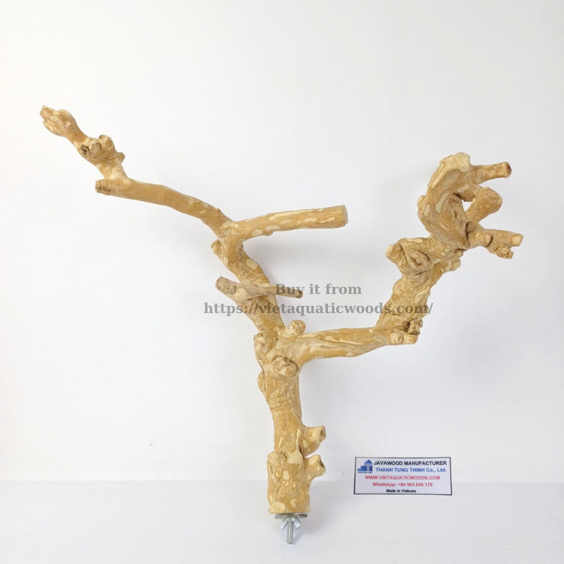 ช็อกโกแลต