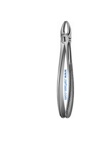 Fórceps de extracción de dientes de acero inoxidable de alta calidad Fig.107 para caninos superiores con picos cortos - Product Image 6