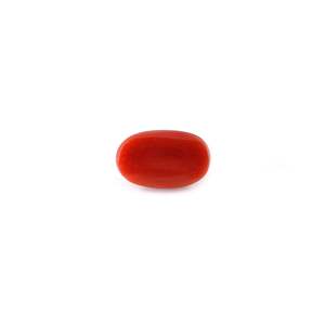 Perles de corail rouge de 5,62 carats, bijoux en os de coquillage et en corail - Product Image 2