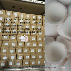 Carne de Coco Congelada Premium de Vietnam para Procesamiento de Alimentos (Entera/Rebanada/Cubos/Triturada) - Product Image 6