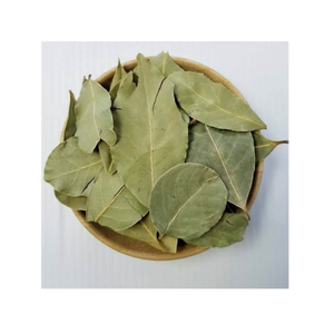 Hojas de Graviola orgánicas Hojas de té de Guanábana secas de alta calidad Producto de hierbas naturales del proveedor de Vietnam - Product Image 3