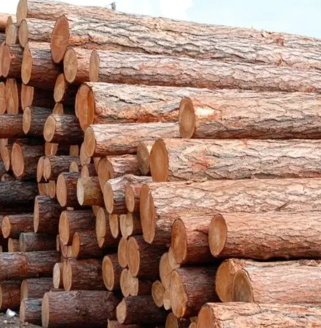 Kayu Ipe dll kayu Oak bulat merah dan putih/kayu veneer oak/tingkat Segar 1, 2, 3 kayu ek bulat (potongan segar)