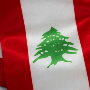 ผ้าโพลีเอสเตอร์สำหรับผู้ใหญ่และ100% โรงเรียนพิมพ์ลายซับลิเมชันสีและโลโก้ตามสั่ง - Product Image 5