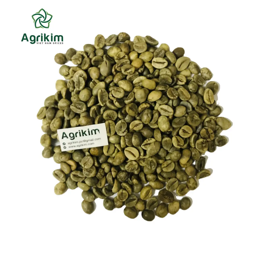Вьетнамские кофейные зерна лучшего качества, оптовая продажа, зеленый кофе в зернах Arabica, разумная цена + 84 326055616