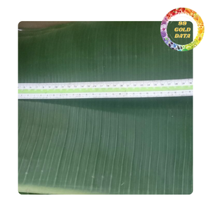 Feuilles de bananier naturelles sans produits chimiques | idéal pour la cuisson à la vapeur et l'emballage d'aliments biologiques | From Viet Nam - Product Image 5