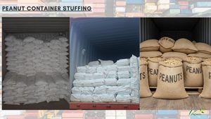 Cacahuetes Tostados Crudos, Cacahuetes Tostados Secos, Cacahuetes Tostados Naturales, Cacahuetes Tostados Sin Sal, Cacahuetes Tostados a Granel - Product Image 5