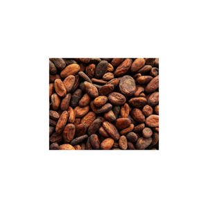Fèves de cacao de haute qualité, meilleure qualité, vente en gros, origine américaine, durée de conservation de 2 ans, prix avantageux - Product Image 1