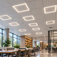 Barre lumineuse LED à intensité variable 0-10V, 5 températures de couleur et 5 puissances réglables, driver séparé, installation flexible, forte luminosité