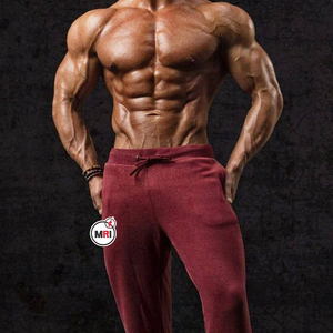 Pantalones de chándal hombre pantalón algodón otoño OEM invierno Fitness correr pantalones baloncesto entrenamiento cordón Jagger pantalones para hombres Pantalones - Product Image 2