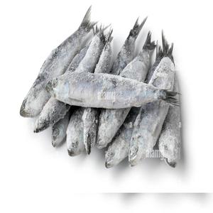 Venta de pescado de sardina congelada de calidad - Product Image 1