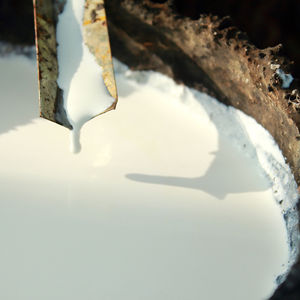 ยางธรรมชาติไนไตรล์บิวทีอีน NBR LATEX - Product Image 5