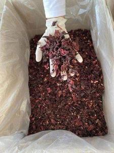 ดอกกุหลาบชบาอียิปต์แบบแปรรูปดอกไม้แห้ง - Product Image 2