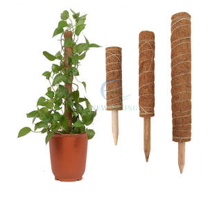 Poteau de mousse de soutien de plante écologique personnalisable en gros avec des bâtons de coco détachables pour la maison et le jardin - Product Image 6