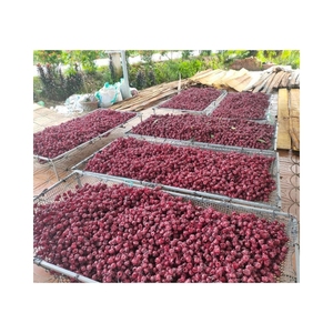 Fleurs d'hibiscus séchées entières de qualité supérieure pour les boissons à colorant alimentaire et à infusion, favorisant l'hydratation et le bien-être général - Product Image 3