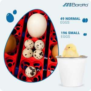 Borotto High Quality New Model <b>Egg</b> <b>Incubators</b> Hatcher Made in Italy Real 24 Automatic Professional <b>Incubator</b> for 24 <b>Eggs</b> - Product Image 2