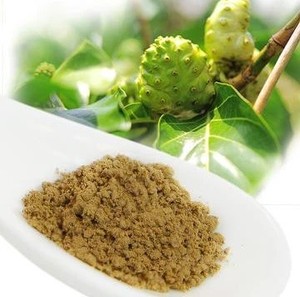 Premium Noni Fruit Powder Morinda Citrifolia 100% Natural Dried & Ground from Tropical Vietnam - Product Image 1