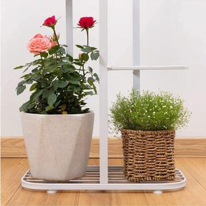 Support de plante nautique à montage au sol 6 étagères à plusieurs niveaux 7 en pot support de Pot de fleur étagère de rangement pour jardin intérieur extérieur - Product Image 4