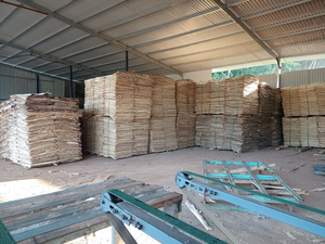 Chapa de núcleo de caucho natural 100% de 1mm - 3mm de espesor-Chapas de madera directas de fábrica al por mayor para hacer madera contrachapada - Product Image 5