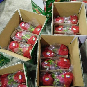 Prix très compétitif pitahaya pour l'exportation fruit pitaya nouvelle récolte fruit du dragon de haute qualité - Product Image 1