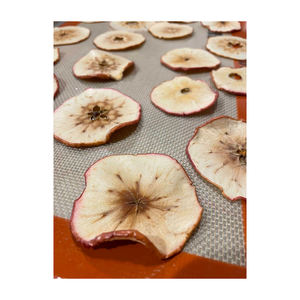 แอปเปิ้ลแห้งที่เชื่อถือได้พร้อมสำหรับการจำหน่ายในขนาดใหญ่และขายปลีก - Product Image 4