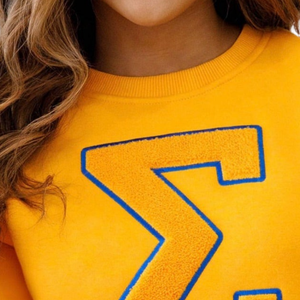 Big Sigma Gamma Rho Chenille sudadera suave Premium algodón cuello redondo bordado SGRho griego hermandad ropa para mujer - Product Image 5