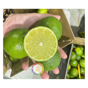 LIMONES FRESCOS AL POR MAYOR DE VIETNAM, CALIDAD PREMIUM, SUMINISTRO DE CÍTRICOS DE GRADO SUPERIOR CON BUEN PRECIO, VENTA CALIENTE - Product Image 4
