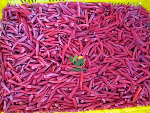Premium Frozen Chili-Proveedor de confianza VIET THIEN PHU de Vietnam-Embalaje a granel Picante caliente-Saludable-Chile de alta calidad - Product Image 2