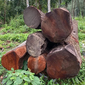 Venta al por Mayor, Entrega Rápida, Troncos de Madera de Tali Africana, Blanco/Negro/Rojo, Origen Francés, Alta Calidad, 24 Meses de Duración, Mejor Precio Bajo - Product Image 6