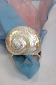 ห่วงผ้าเช็ดปากเปลือกหอยทำจากเปลือกหอยขัดสำหรับโต๊ะอาหารและอาหารค่ำสไตล์เวียดนาม - Product Image 6