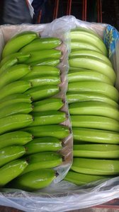 Plátano fresco Cavendish de la mejor calidad de 99 Gold Data Vietnam con el mejor precio de exportación - Product Image 5