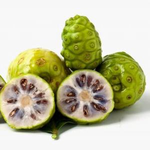 Fruta Noni congelada de gran tamaño/fruta Noni congelada de buena calidad - Product Image 1