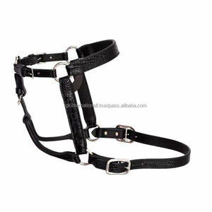 Halter de spectacle en cuir véritable gravé à motif de crocodile fait main personnalisé pour cheval avec boucle et anneaux en nickel massif - Product Image 1