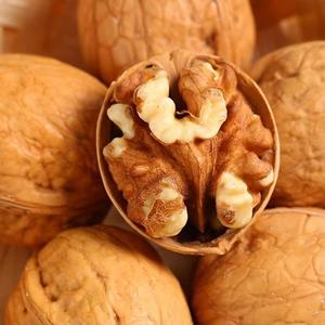 Suministro Directo de Huerto, Nueces de Grano Grande de Primera Calidad, Nueces Frescas Naturales de Primera Calidad - Product Image 5