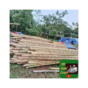เสาไม้ไผ่ธรรมชาติแบบเวียดนามมีหลายขนาดให้เลือกเสาไม้ไผ่แบบกว้างเหมาะสำหรับการใช้งานที่แตกต่างกัน - Product Image 6