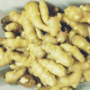 Guangxi ขิงสดแช่แข็งขนาด1กก. ขิงหนุ่มสีเหลืองสดส่งออก - Product Image 6