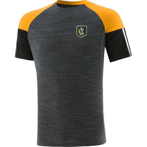 Camiseta de fútbol unisex gaélico GAA, 100% poliéster, patrón sólido, manga corta, conjuntos de ropa de fútbol, servicio frontal OEM disponible - Product Image 1