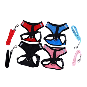 Collar de perro martingala de nailon ajustable, suave, fácil de limpiar, diseño de impresión moderno para el entrenamiento diario de caminar, seguro antiescape para perros - Product Image 1